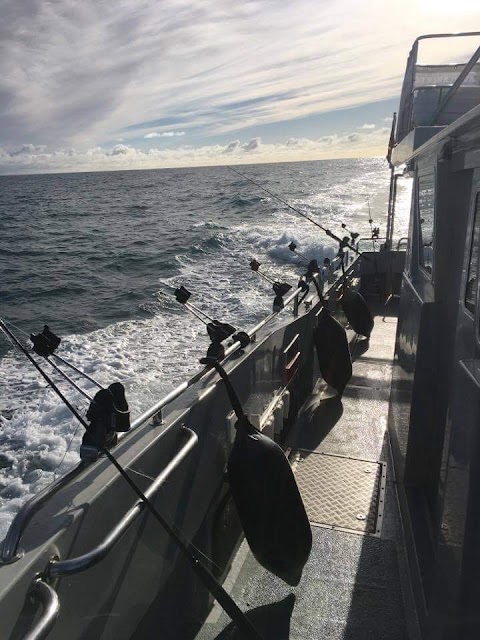 Channel Diving & Rampion Windfarm Trips