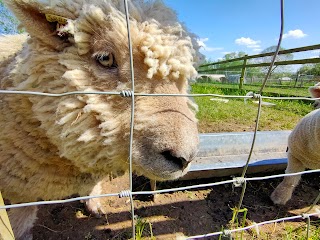 Paradise Found Educational Farm Park