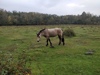 Deerleap car park