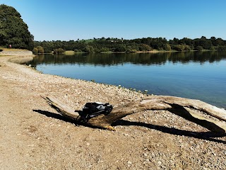 Blagdon Lake