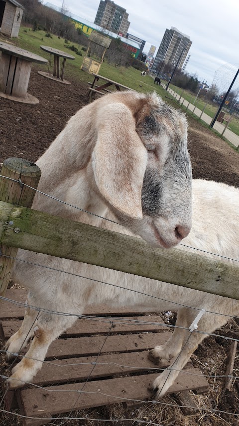 St James Community Farm