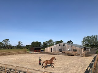 The Equine Vet Clinic