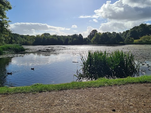 Hardwick Park ( Ponds )