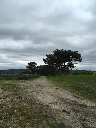 Bretton Country Park Kennels and Cattery