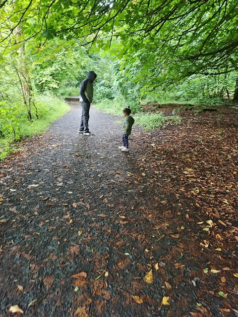 Craigie Linn (Waterfall)