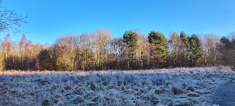 Malls Mire Community Woodland