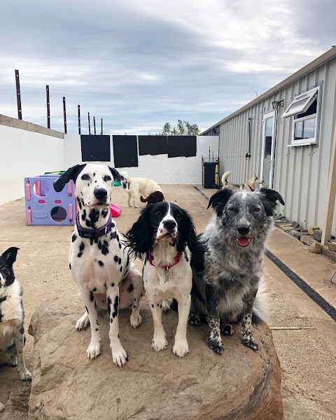 Mearns Canine Lodge