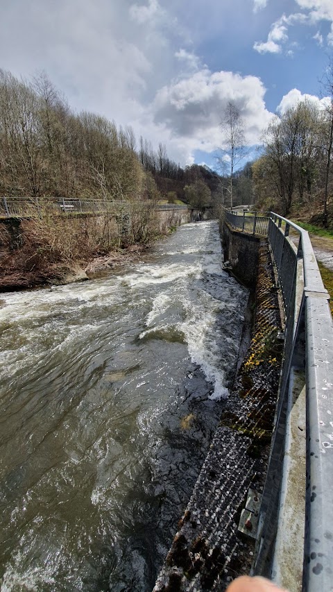 Parc Coetir Bargod (Bargoed Woodland Park)