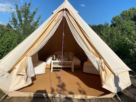 The Holford Arms Chalets & Glamping