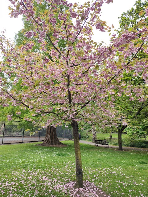 Roath Pleasure Gardens