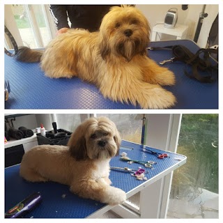 Forever Paws Dog Grooming