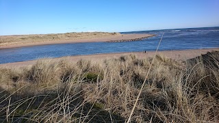 Forvie National Nature Reserve (Waterside car park)