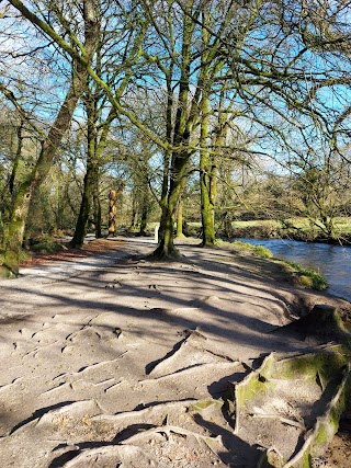 Golitha Falls National Nature Reserve