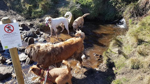 Hairy Hikers Sheffield