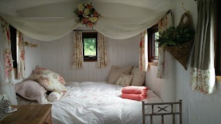 Shepherd Hut Holidays