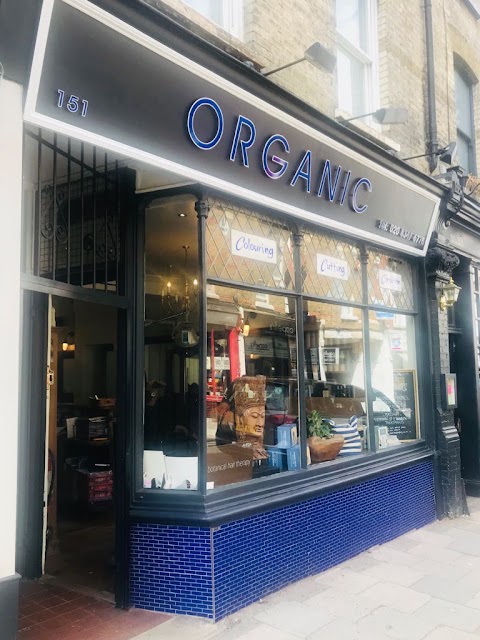 Organic Hair and Beauty - Crouch End
