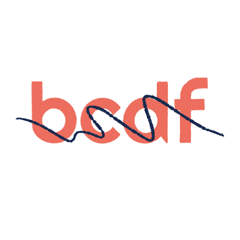 BCDF (Bristol Community Development Finance Ltd)