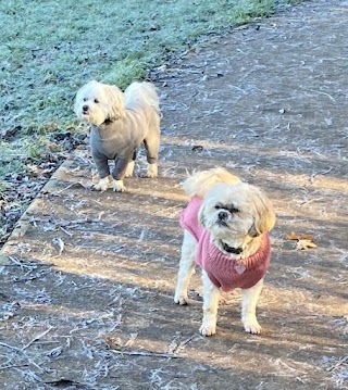 Happy Dogs Home Boarding