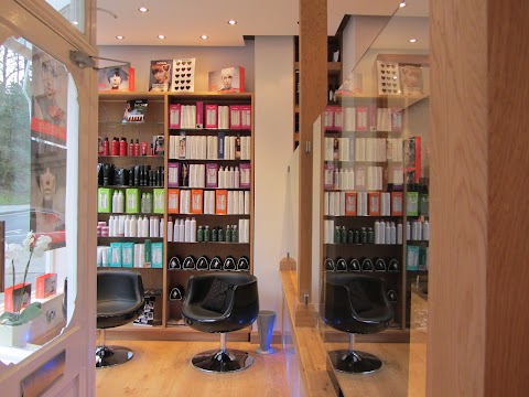 David Maxwell Hairdressing