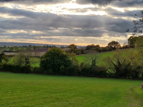 The Cowshed