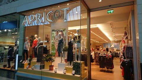 Apricot Clothing - Bluewater