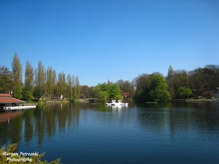 Small pool