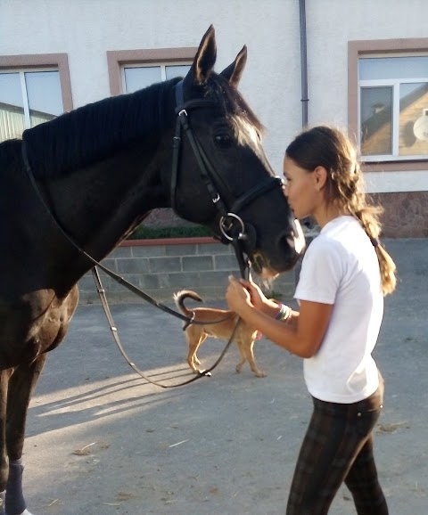 Імперіал Хорс Клаб (Imperial Horse Club)