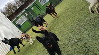 Royvon Dog Training and Hotels