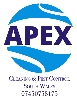 Apex group services