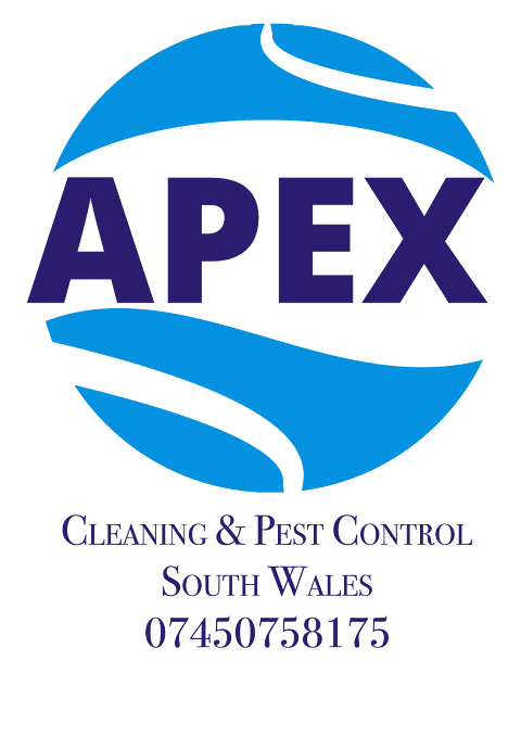Apex group services