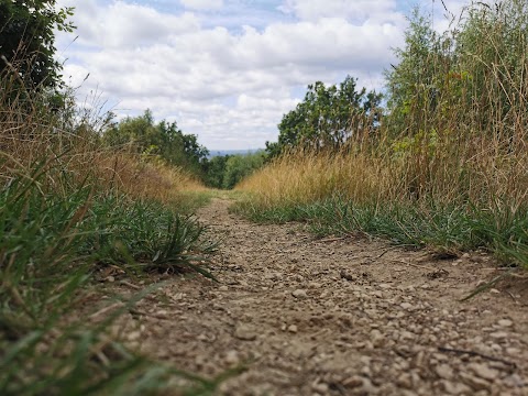 Wincobank Hill Fort