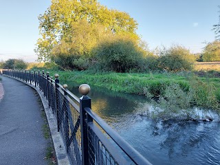 Coley water meadows