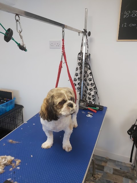 Jojoes Dog Grooming - Dog groomers