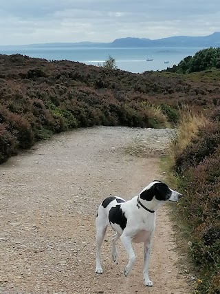 Howth Dog Sitter