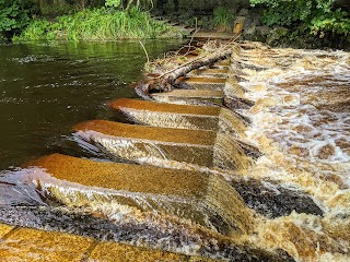 Bushy Park Waterfall