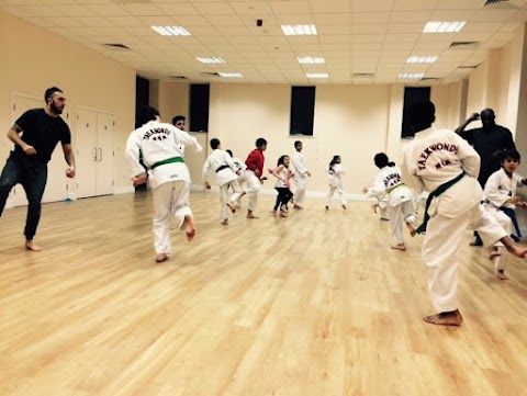 Peak Performance Taekwondo Academy - Olympic Martial arts centre