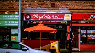 Alley Cats Cafe Bar & Music Emporium