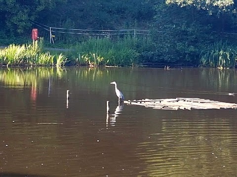 Baggeridge Country Park