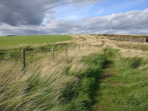 RSPB Scotland Fowlsheugh