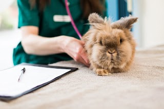 Crossroads Veterinary Centre