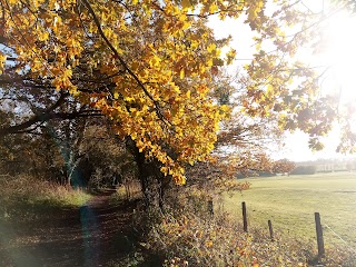 Croft Farm