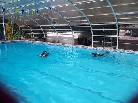 The Forest School Swimming Pool