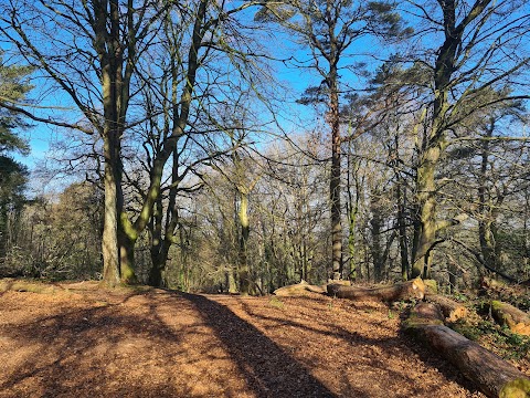 Cairn Wood