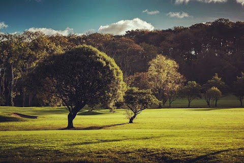 Helens Bay Beach Car Park And Garden