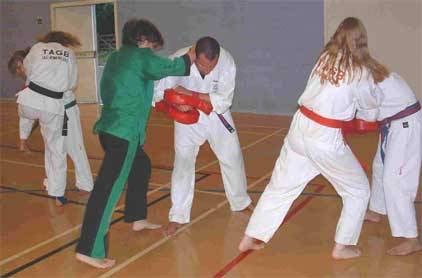 Bristol South Taekwondo - Ashton Park