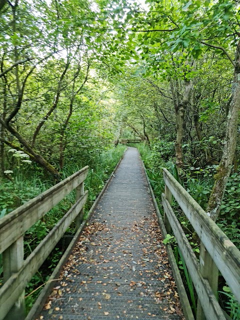 Barton Broad Boardwalk