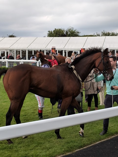 Bath Racecourse