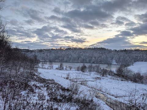 Greenhead Moss Nature Reserve