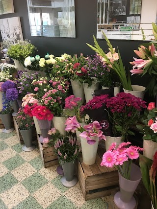 Studio Florist