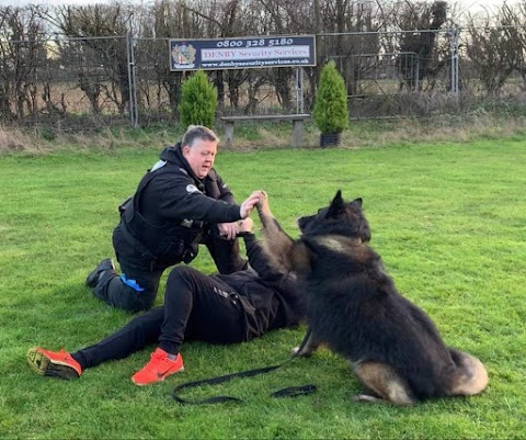 British Institute of Professional Dog Trainers